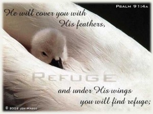 psalm91_4