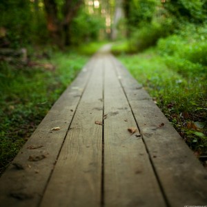 Going home