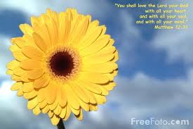lovegodwith