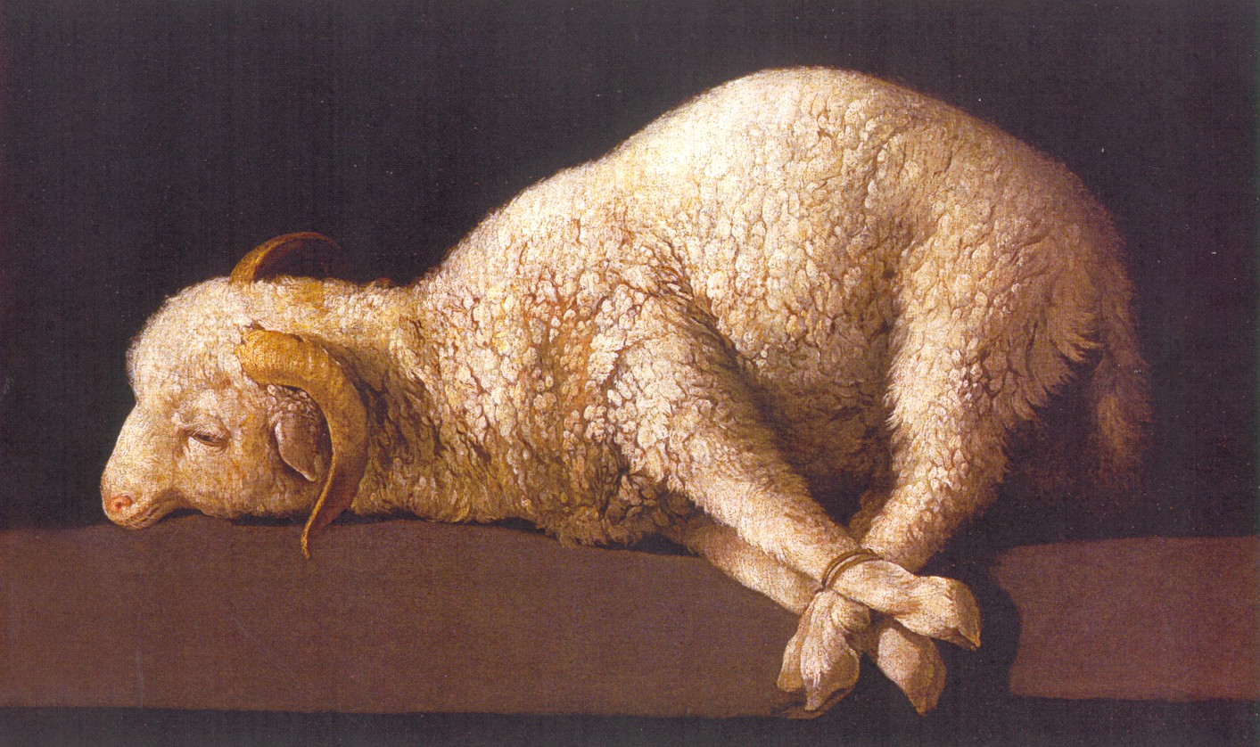 13. The Bound Lamb