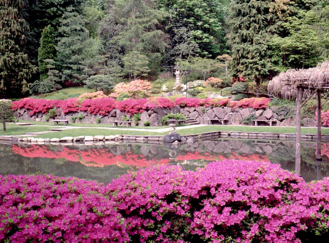 japanese-garden1